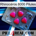 Rhinocéros 8000 Pilules 13